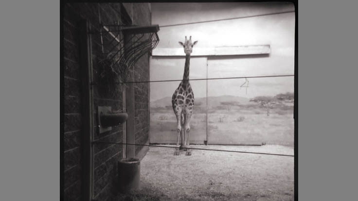 Wexler, Eddie NewYork, New York Second Place Diana Mahwah