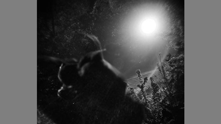 Synovec, Ryan Mijo in Mijo's Head Holga Seattle