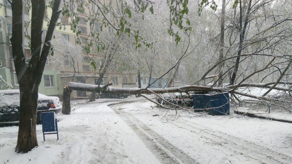 Синоптики прогнозують продовження снігопадів