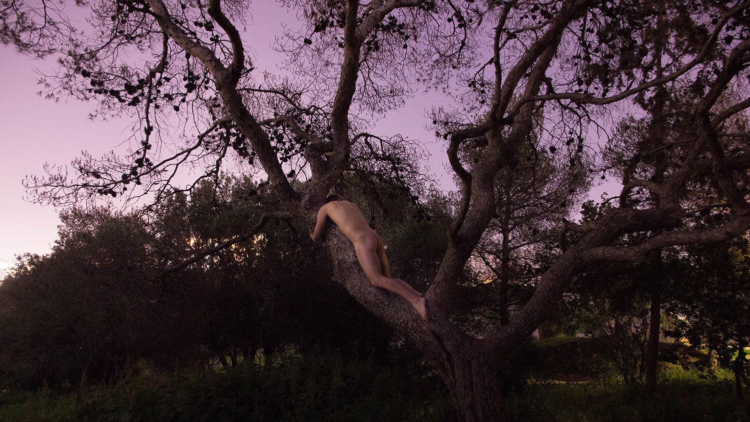 Лайма Ваинина