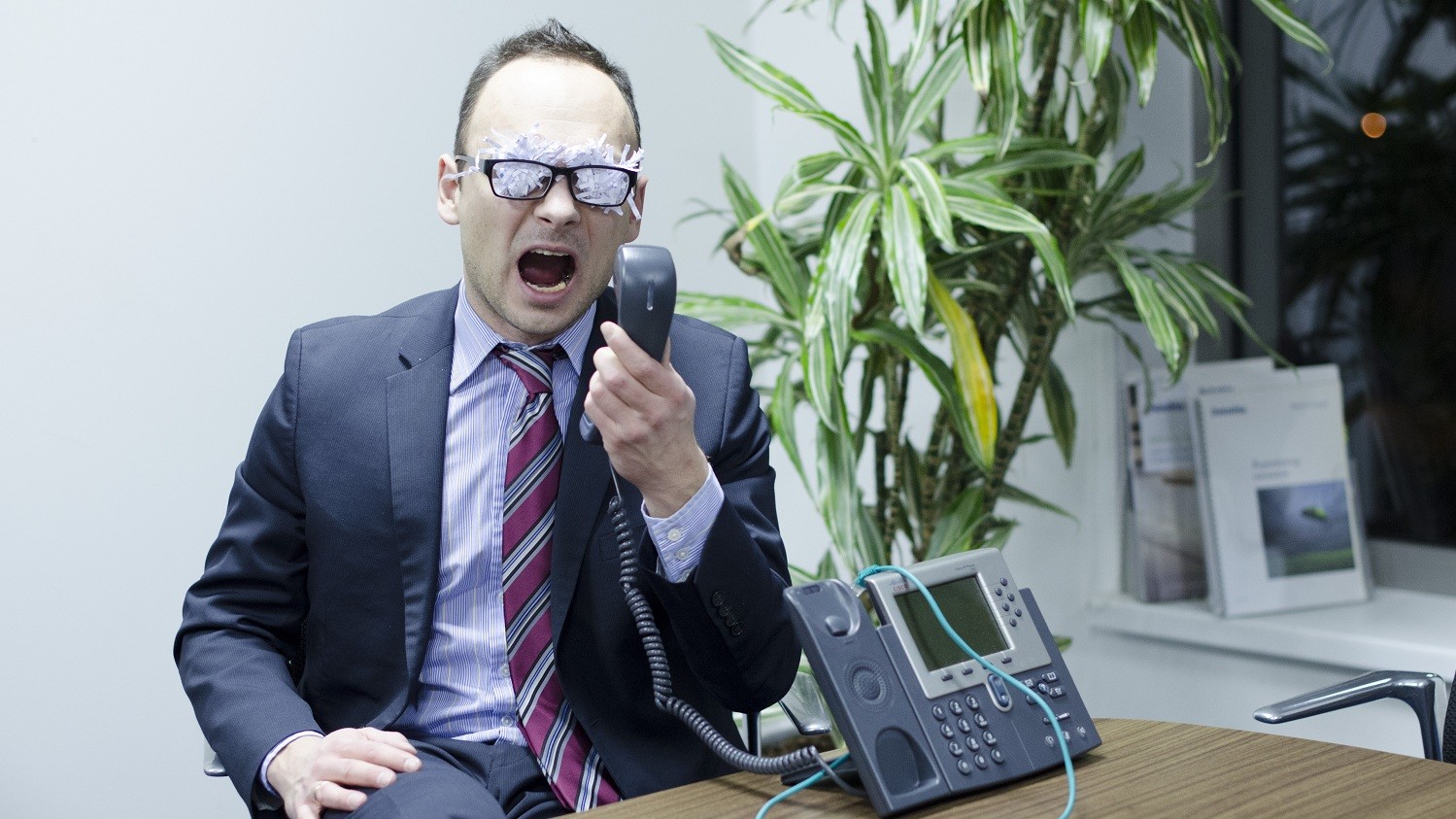 Арта Каулина