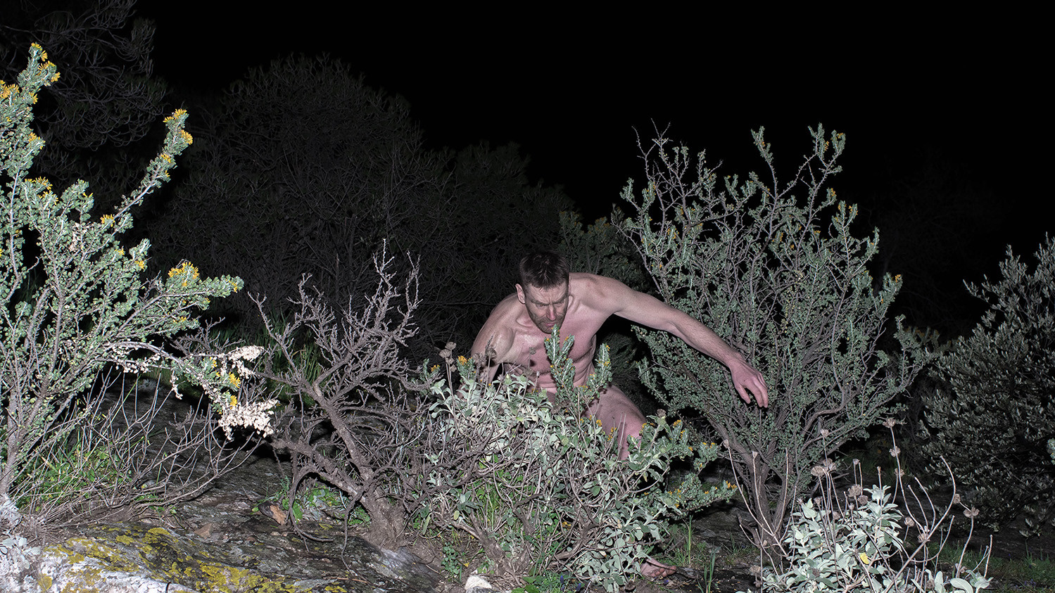 Лайма Ваинина