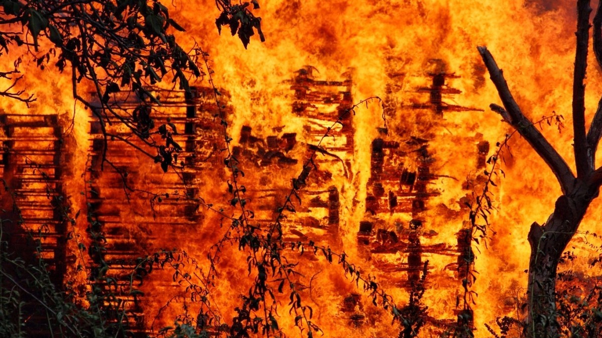 Ліси в Португалії могли підпалити навмисне