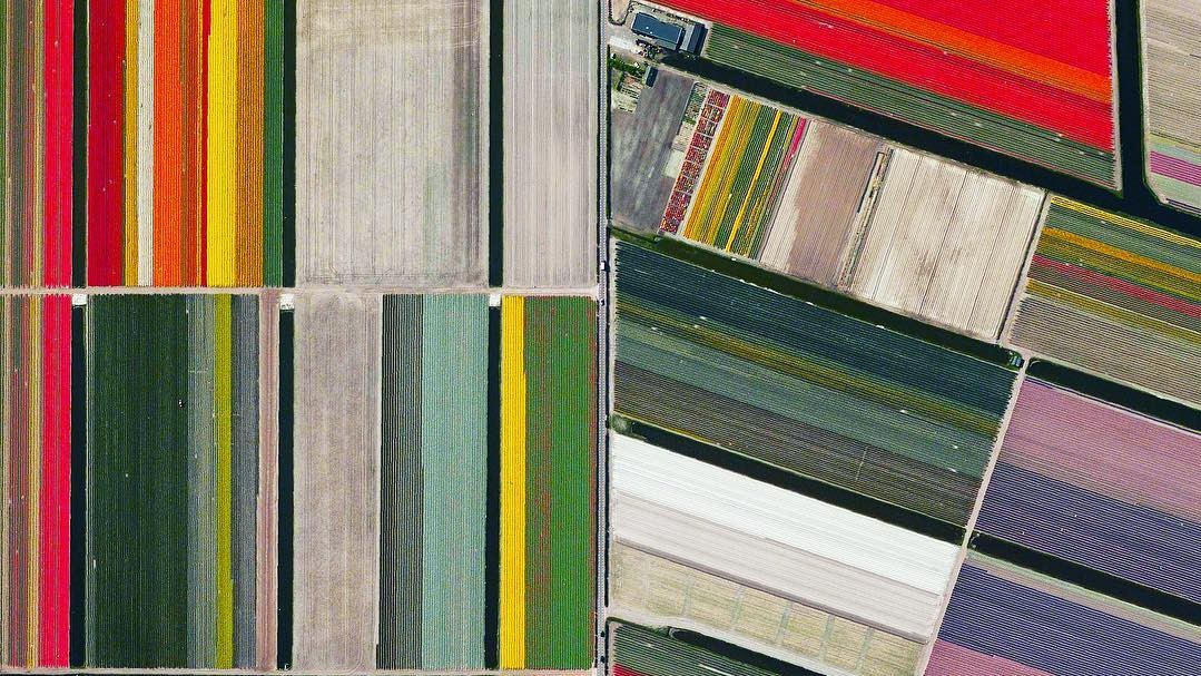 Кекенхоф, Нідерланди