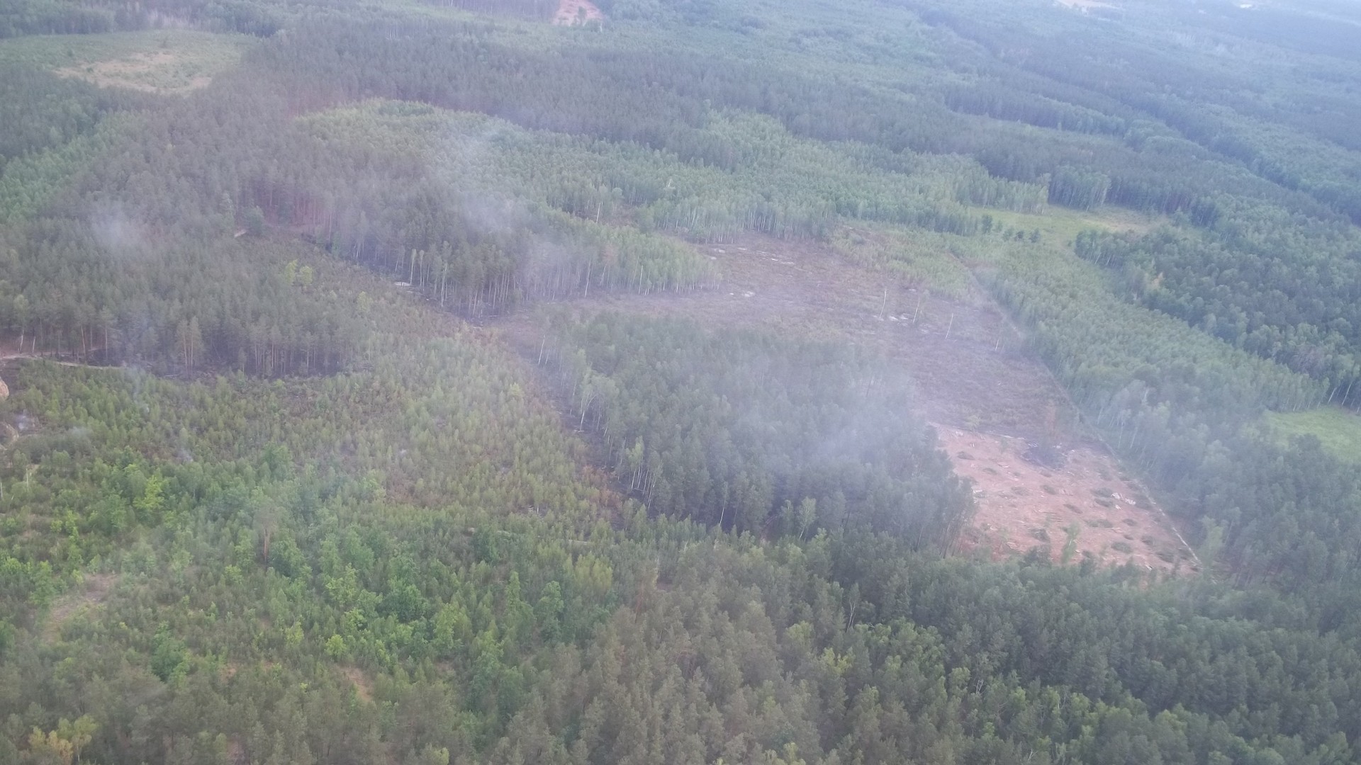 Загоряння в Чорнобильській зоні ліквідовано