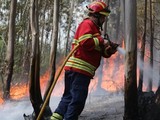 Лісові пожежі охопили південь Європи