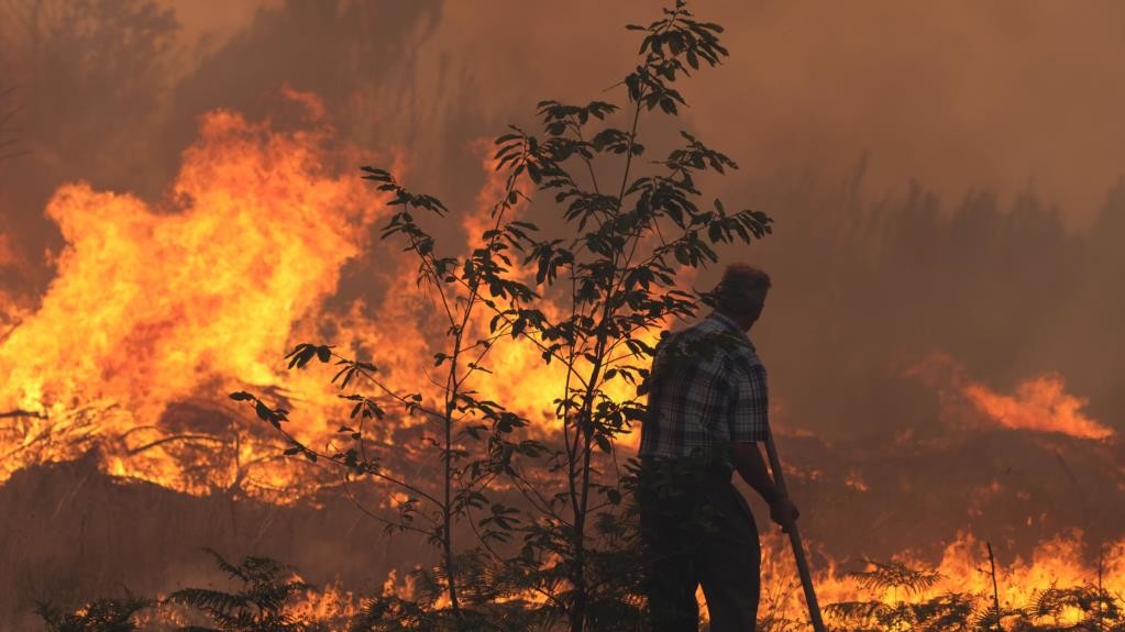 Лісові пожежі охопили південь Європи