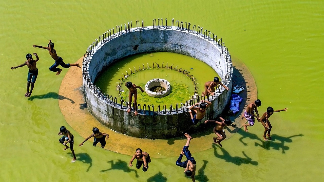 Танвир Рохан. Спеціальна згадка журі