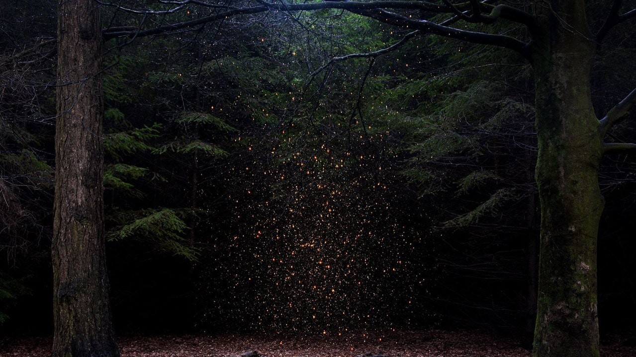 Еллі Дейвіс. Переможець у номінації «Художня фотографія (Одне фото)»