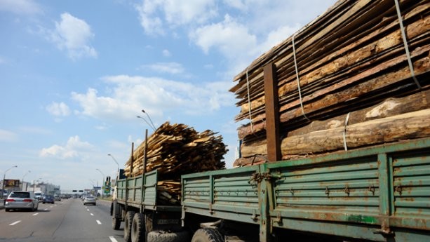 Дельцы пытались незаконно ввезти западную древесину на Восток Украины