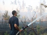 Вогонь охопив 30 га сухої трави у Кременчуцькому район