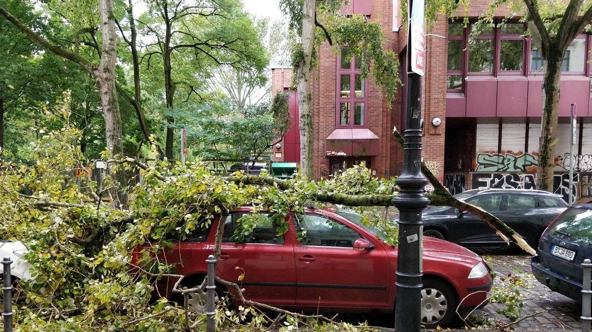 На транспортний засіб журналістів впало дерево