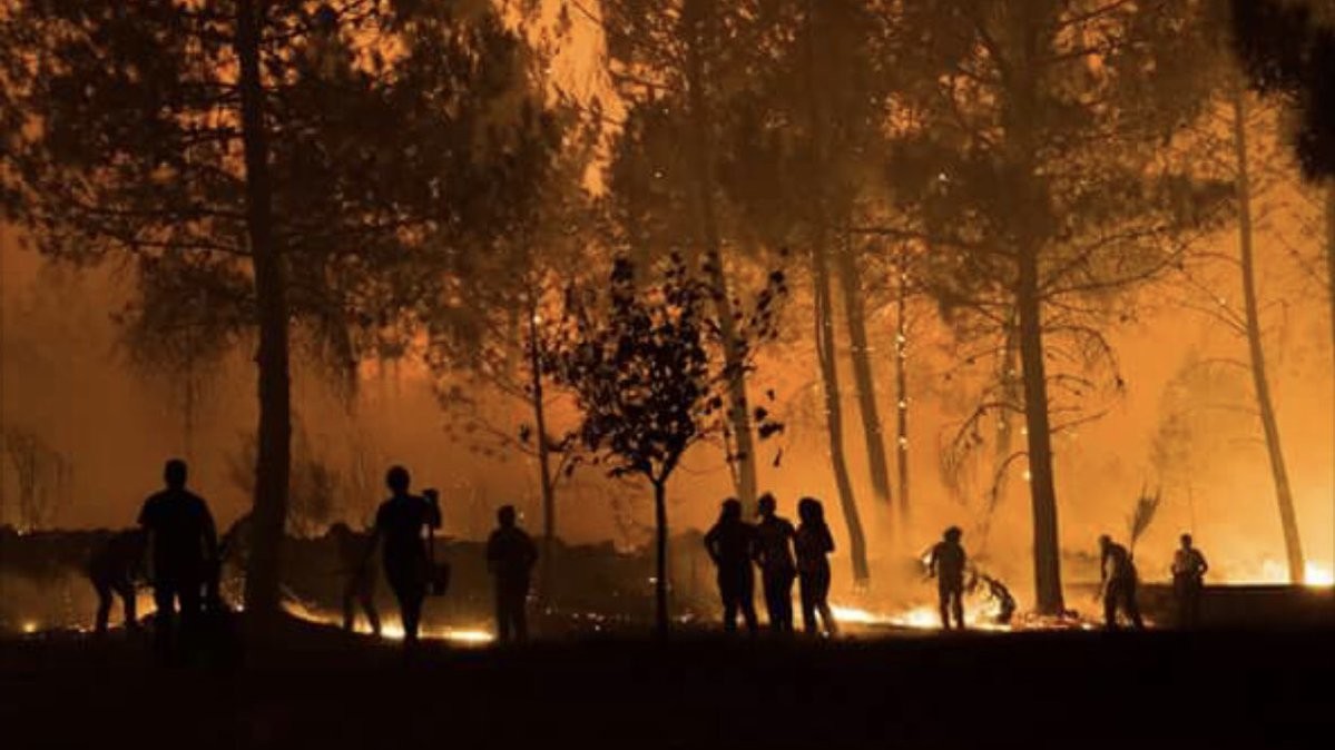 У Португалії знову горять ліси