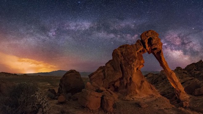 "Слон на нічній прогулянці" - 
Фото Wayne Pinkston