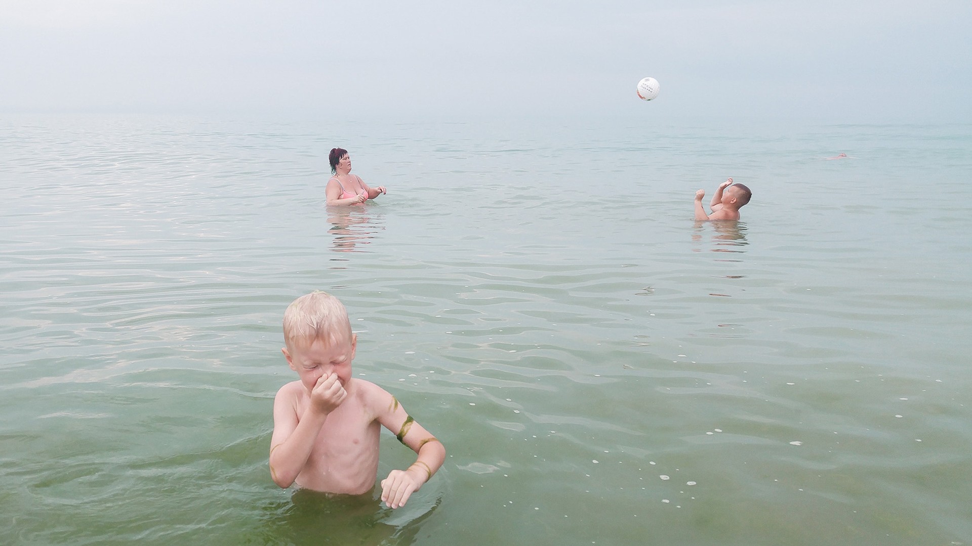 Ольга Зарицька, Грибівка, 2017 рік