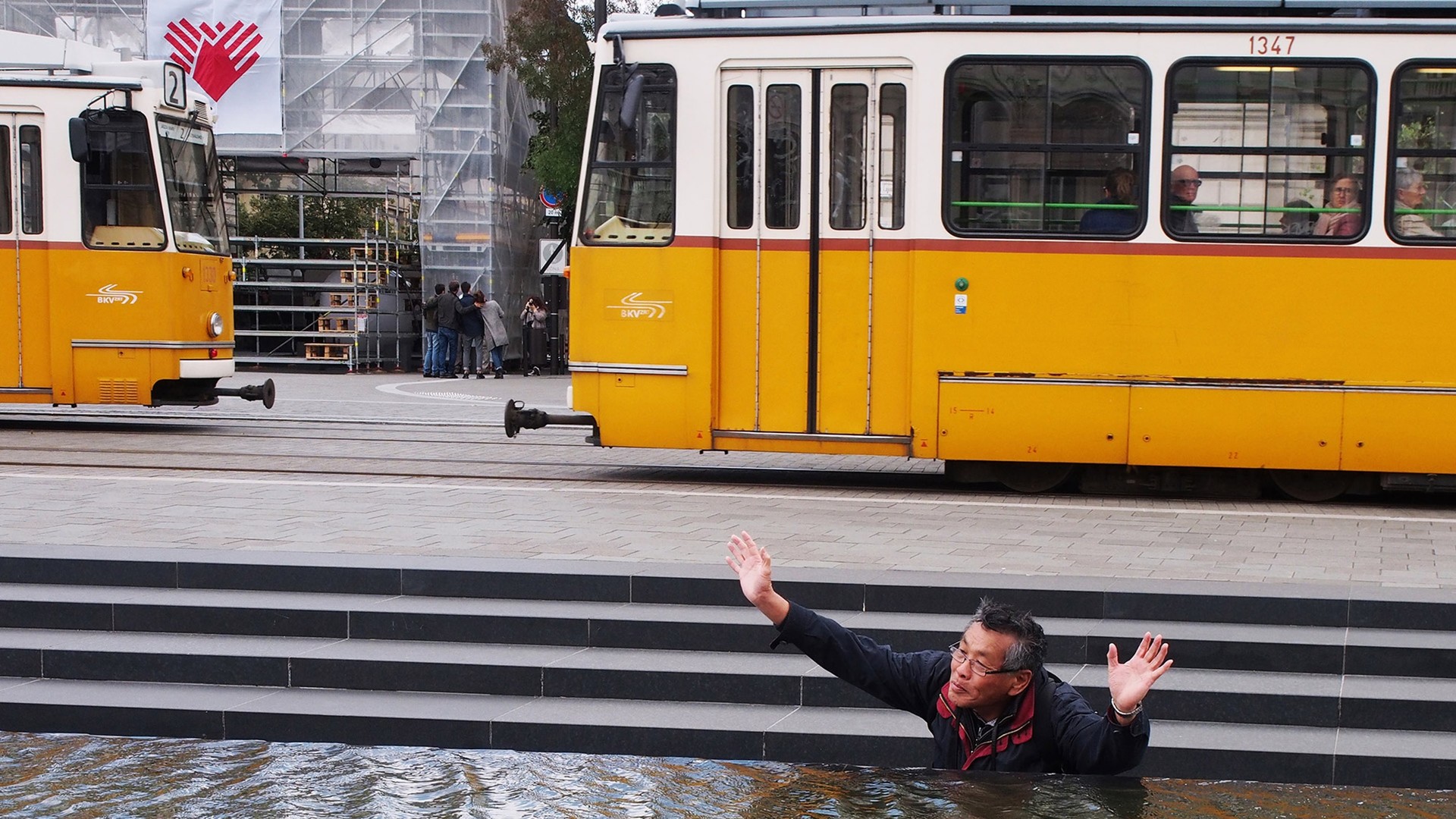 Дмитро Степаненко, Будапешт, 2017 рік