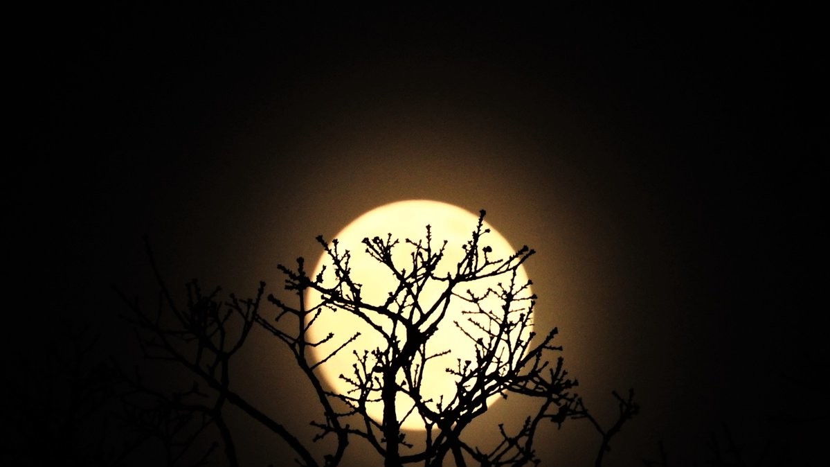 Наприкінці січня жителі Північної Америки зможуть побачити "Блакитну криваву повню"