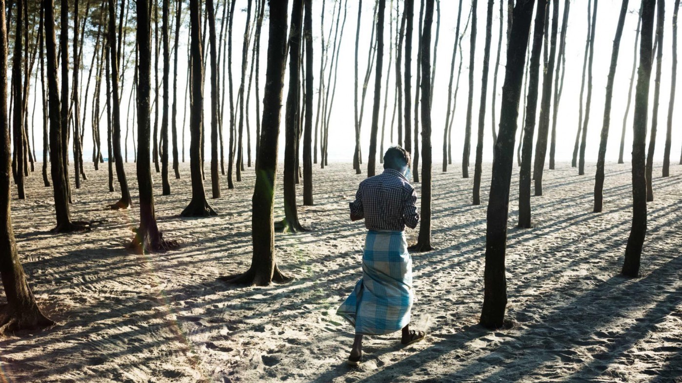 Біженці рохінджа в лісі, який був висаджений для боротьби з ерозією грунту.