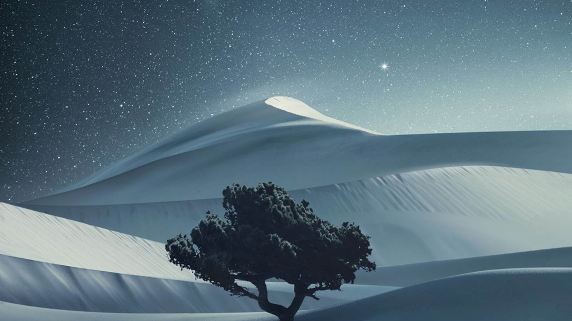 Фото: Бенджамин Эверетт, США. Первое место в категории «Пейзаж»