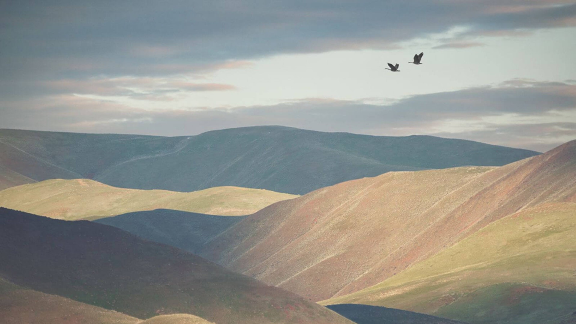 Фото: Бенджамин Эверетт, США. Первое место в категории «Пейзаж»