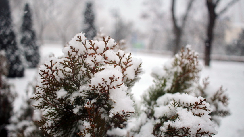 Весною поки не пахне