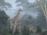 Национальный парк Найроби, Кения. Фото: Jose Fragozo.
