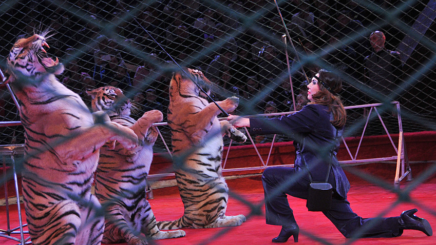 Тварини мають право на гідне утримання