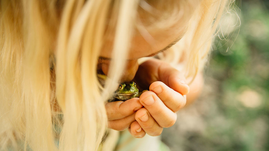 Третє місце. “Down at the mud puddles on our road, we found several young bullfrogs hopping around. Up on our hilltop, wet spots are few and far between, so our mud puddles are home to a constant flow of tadpoles, frogs and toads. My daughter loves all critters, her goal is to create a wildlife rehab center someday. She constantly inspires me with her care towards every living thing." Photo by Terra Fondriest, Arkansas, USA.