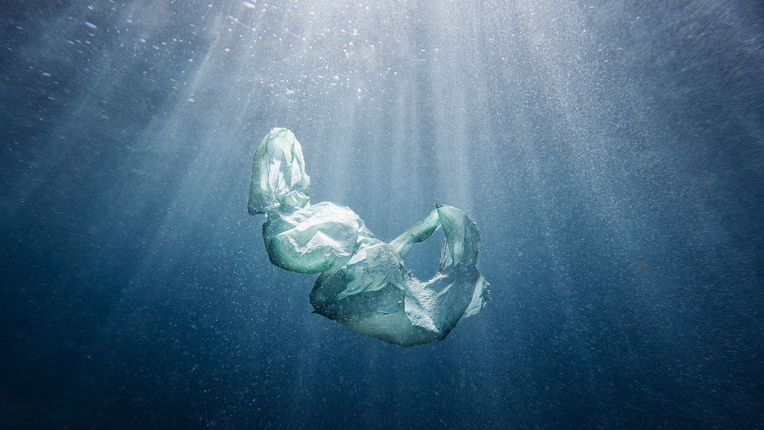 Вода. “A plastic bag in its natural habitat, the ocean. Shot in Shellharbour in 2017. Plastic was once worshiped, now it destroys everything we love. Nature connects us all we have a duty to protect her." Photo by Aristo Risi, Shellharbour, Australia.