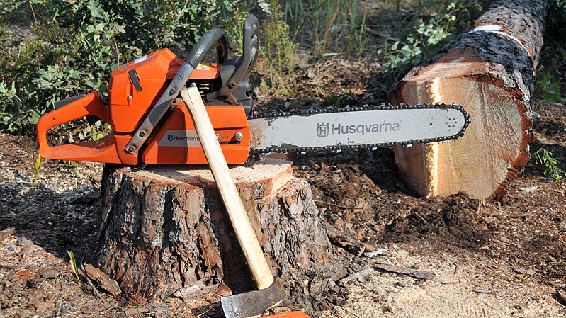 Пілотний проект планують запустити в квітні