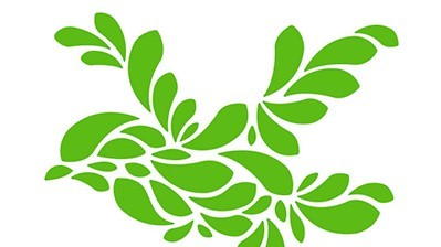 Каштан Соловей.