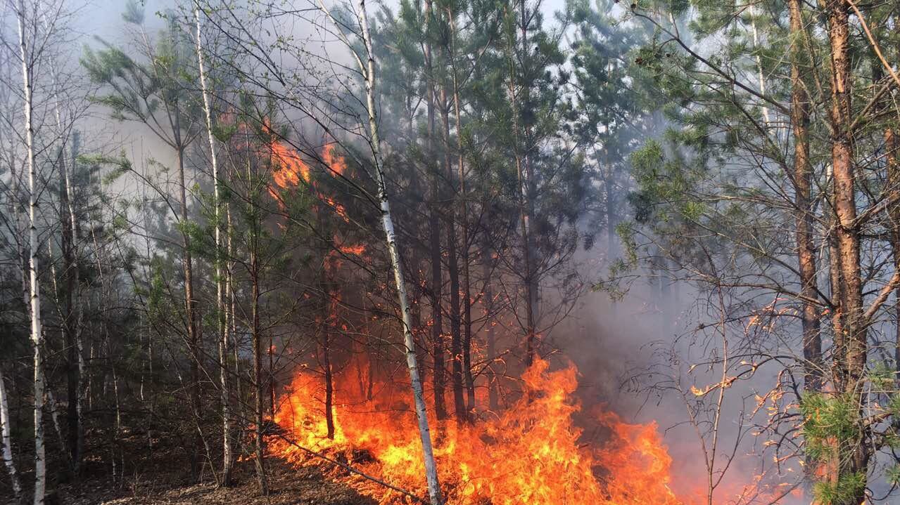 Чотири дні переважатиме надзвичайна пожежна небезпека