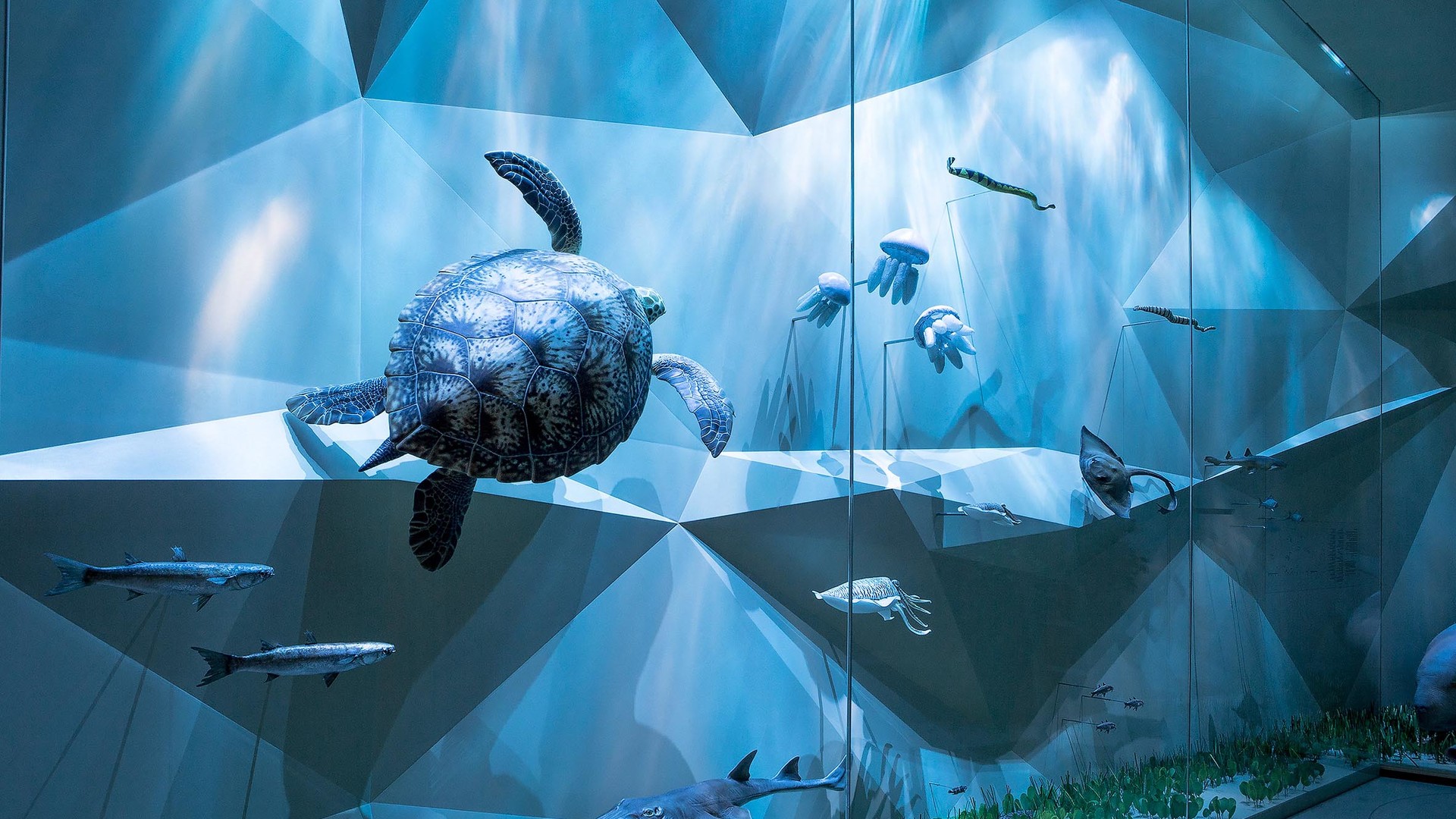 Фото Національний музей Катару