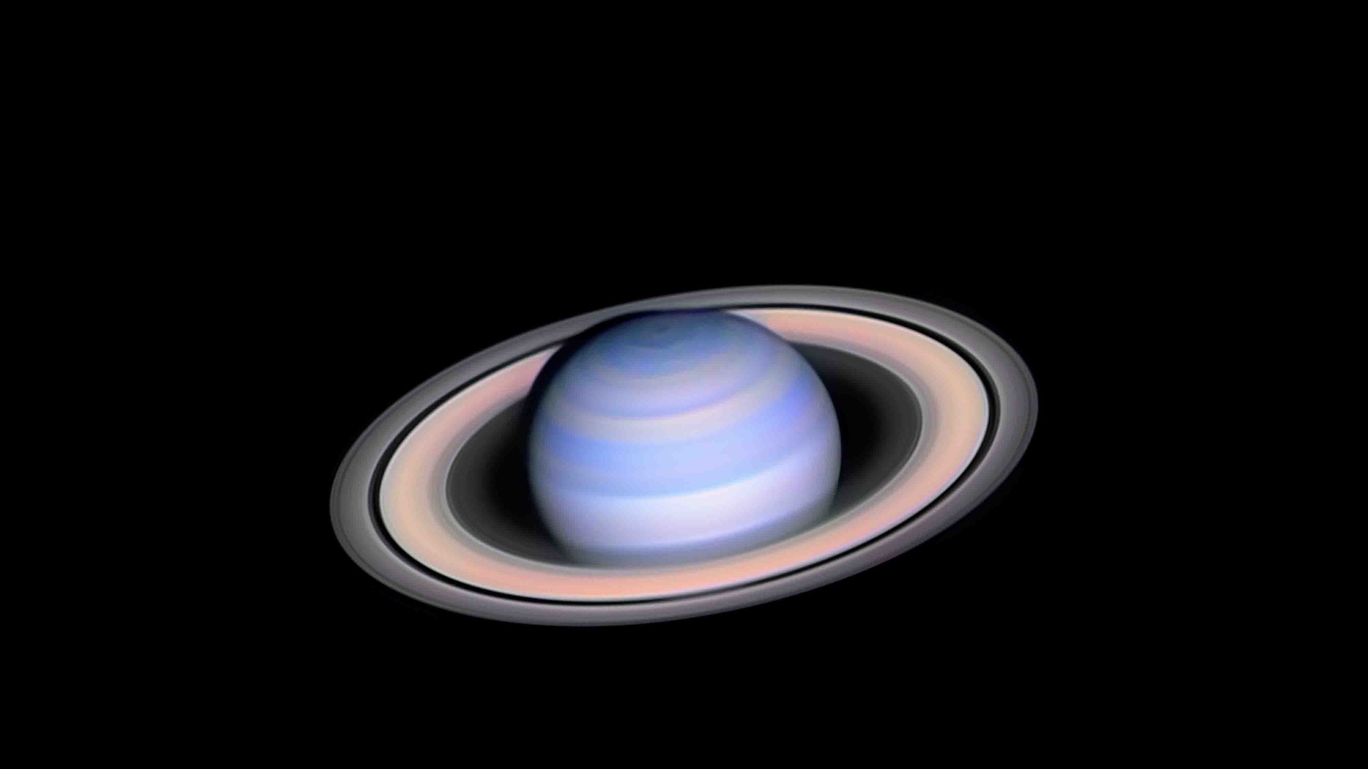 © László Francsics