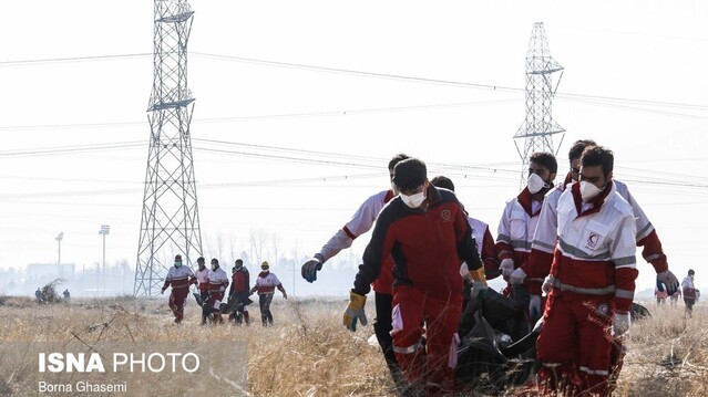 Малахова була директоркою і співвласницею компаній з пасажирських перевезень