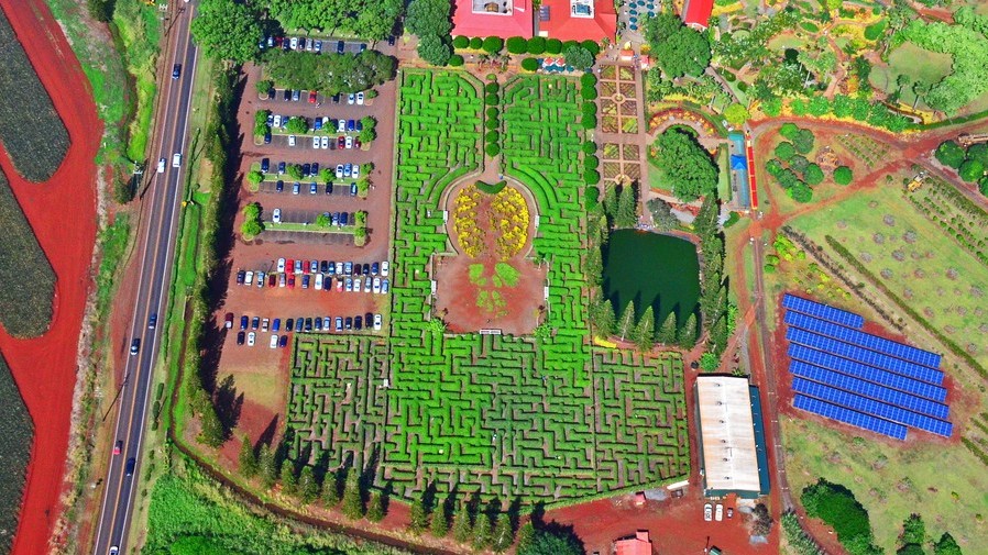 Ананасовий лабіринт (Вахайава, Гаваї)