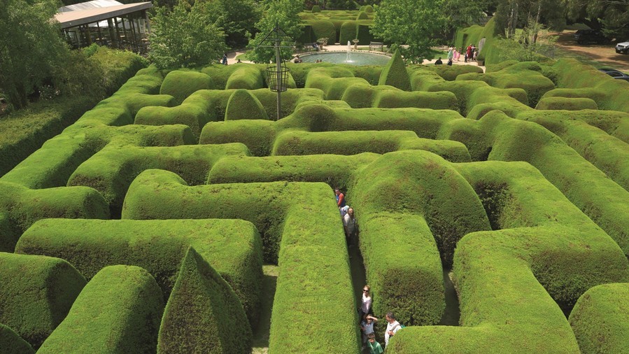 Эшкомб Мейз (Вікторія, Австралія)