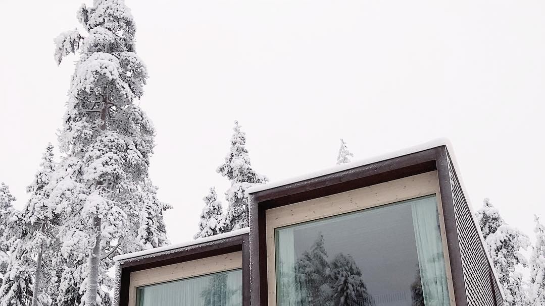 Arctic TreeHouse у фінському Рованіємі
