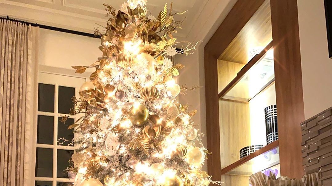 Софія Вергара