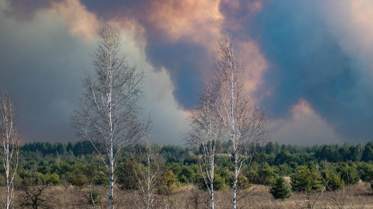Пожежу в зоні відчуження погасили напередодні