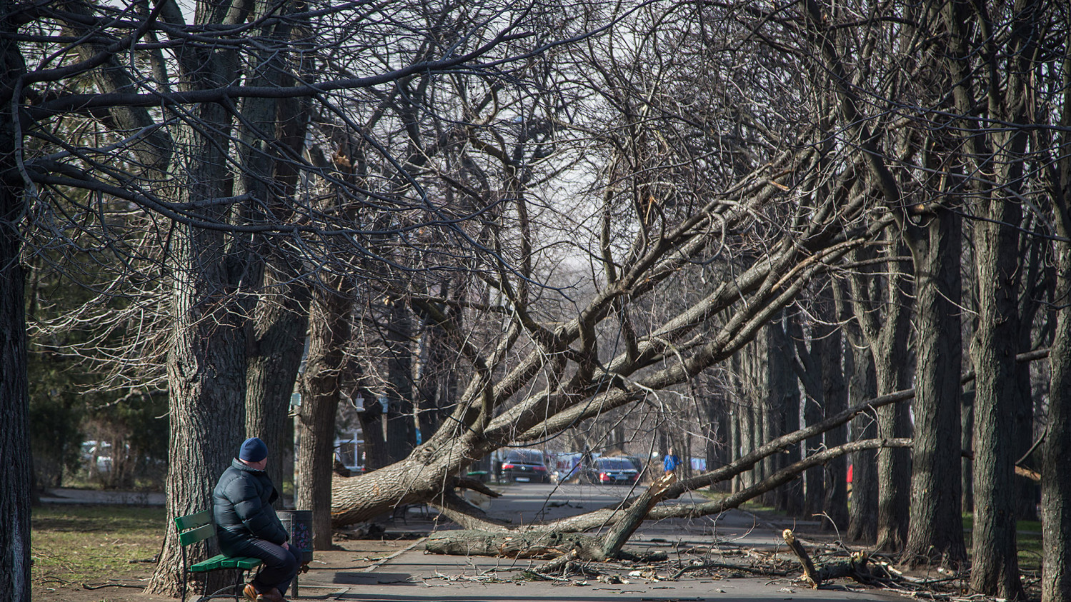 Сильний вітер наробив лиха в Україні