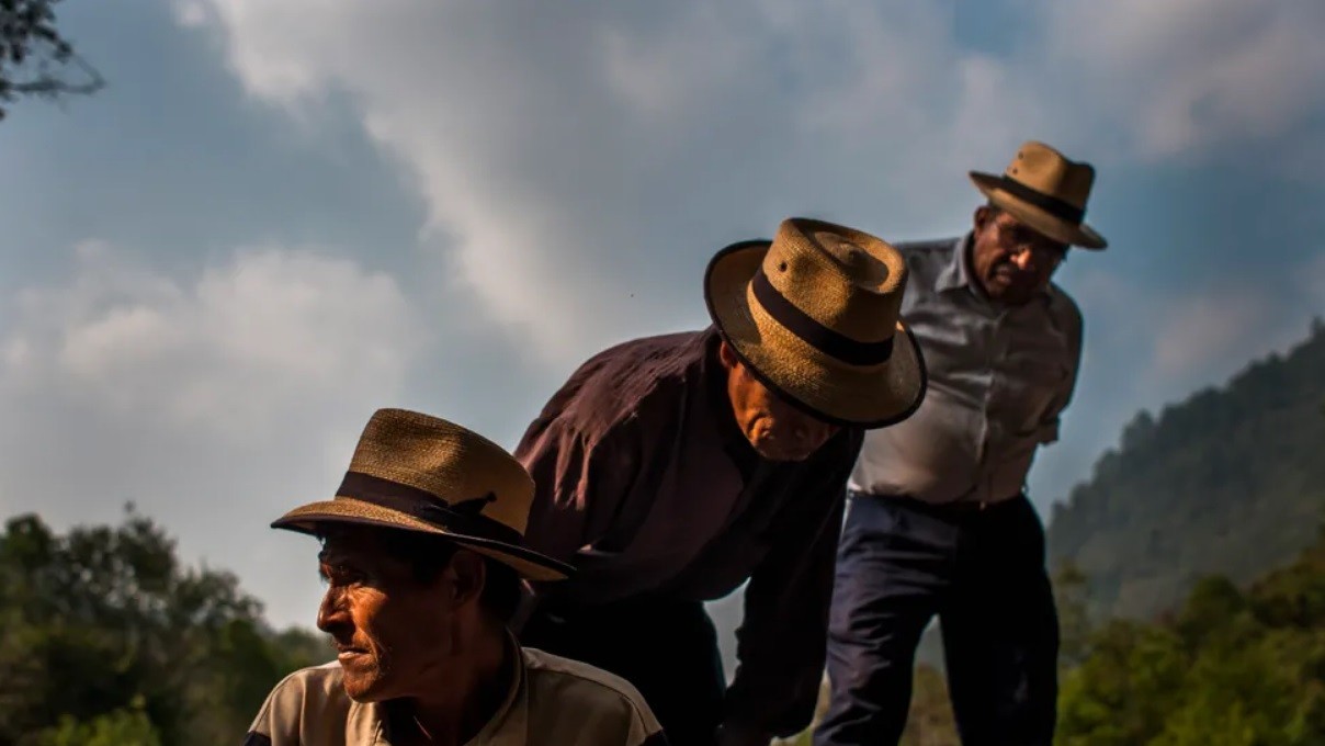 "Долгосрочные проекты", третье место