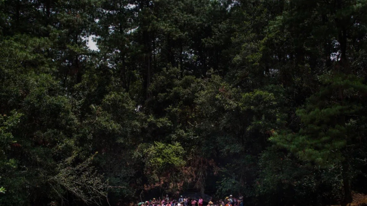 "Долгосрочные проекты", третье место