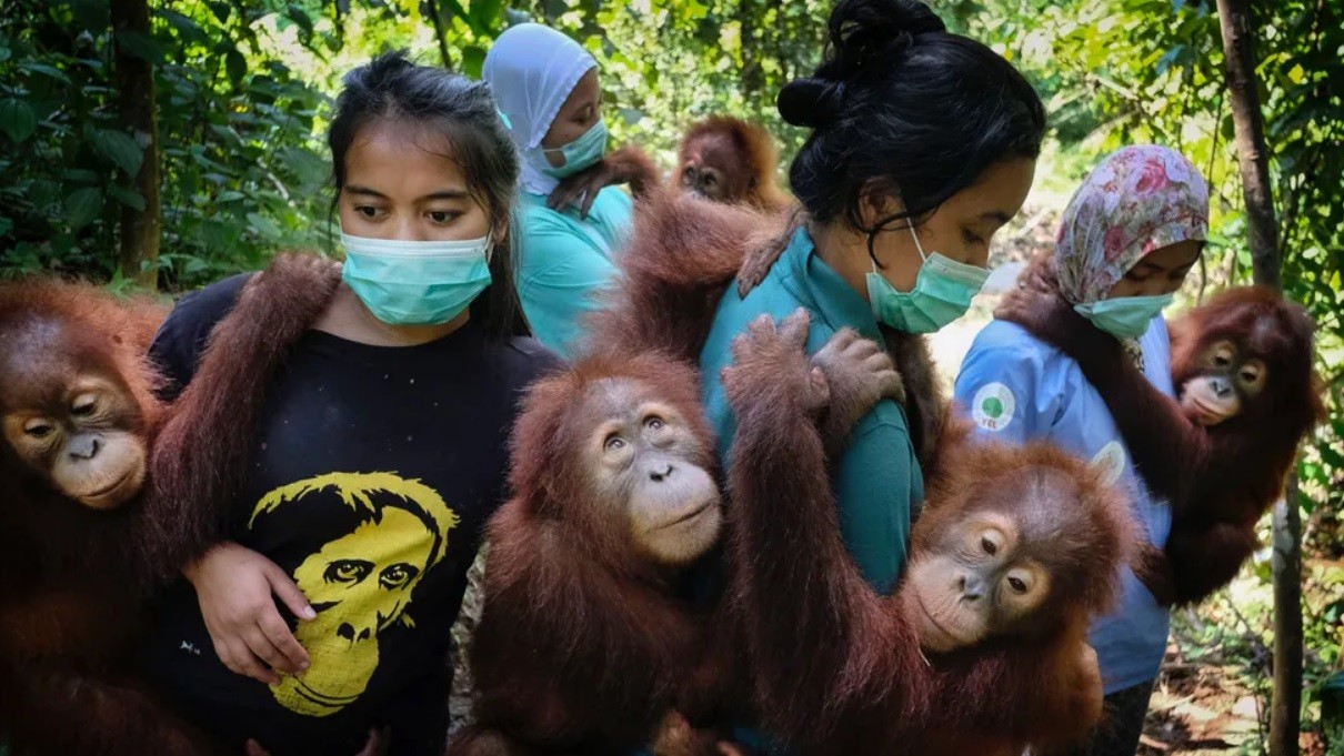 "Природа", победитель среди фотоисторий