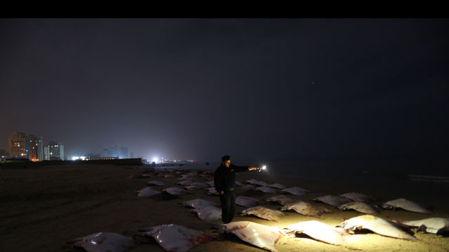 Данный улов приведет к значительному снижению цены на рыбу на рынках Газы, где некоторые виды можно купить по цене 10 шекелей ($2,7) за килограмм.