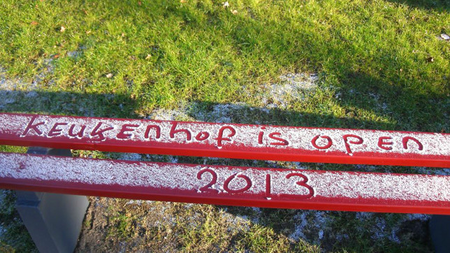 В голландском городе Лиссе несмотря на непогоду открылся самый большой в мире фестиваль тюльпанов
