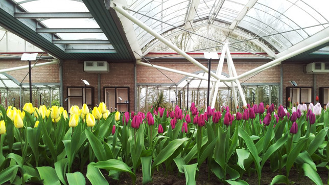 В этот раз темой стал Лондон