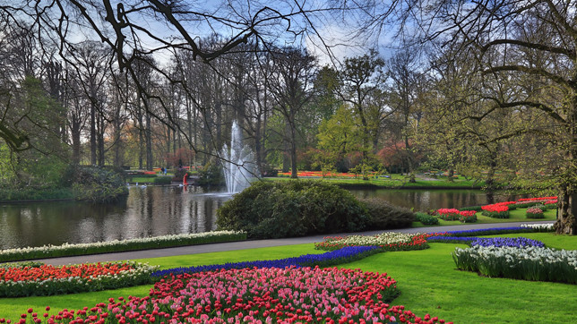 Королевский парк цветов Кекенхоф занимает около 32 га