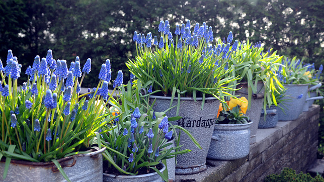 На территории парка представлено более 7 млн растений