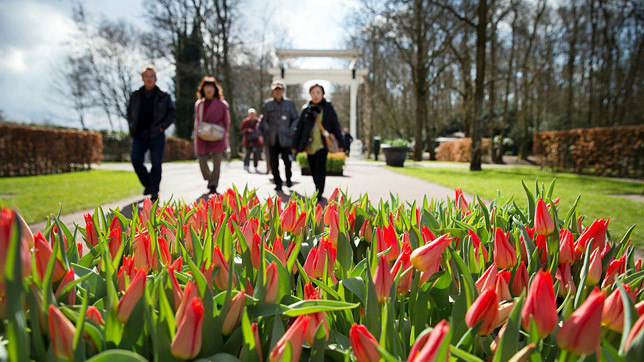 Бывший придворный аптекарский огород полон тюльпанов, гиацинтов, нарциссов, фрезий, орхидей и цветущих деревьев
